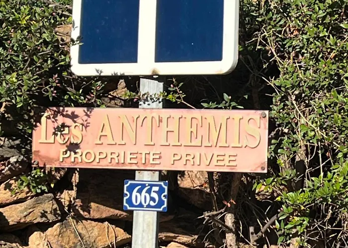 La Fossette Le Lavandou